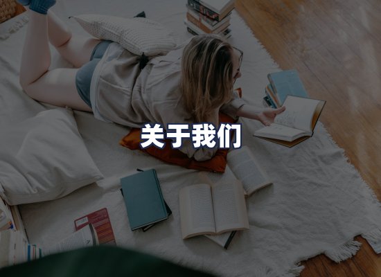 关于我们